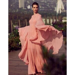 St. John Plunging-Illusion Sheer Pink Silk Georgette Cape Gown 16